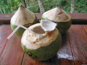 cocos2