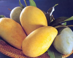 mango1
