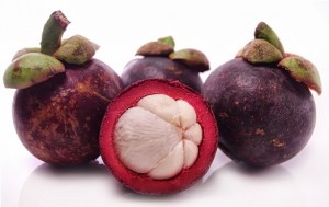 mangosteen1