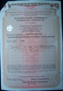 Ветеринарный сертификат Форма 5а