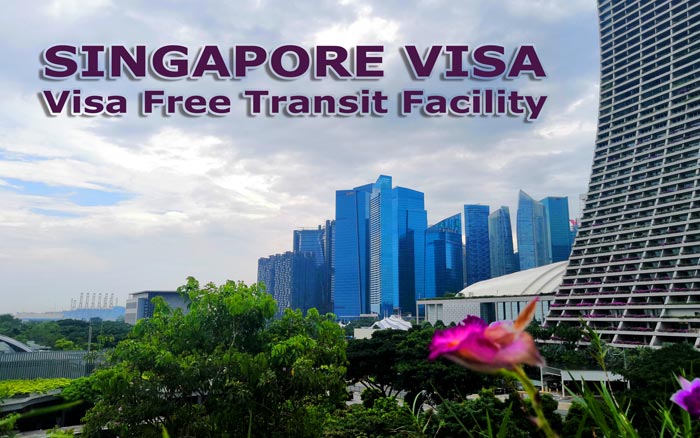 Сингапур транзитом без визы. Электронная виза — как получить.